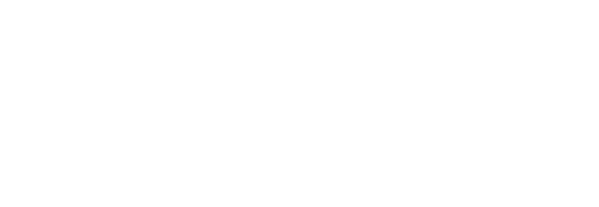4EVASPINNIN